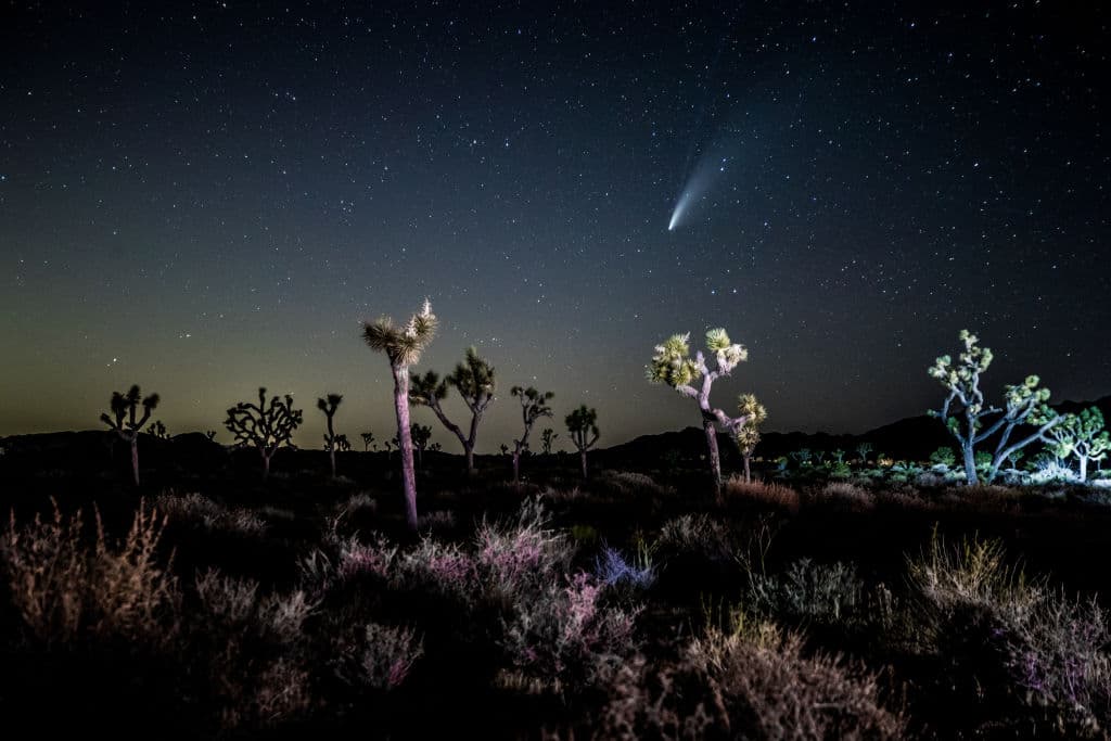 Joshua Tree, California, Estados Unidos.