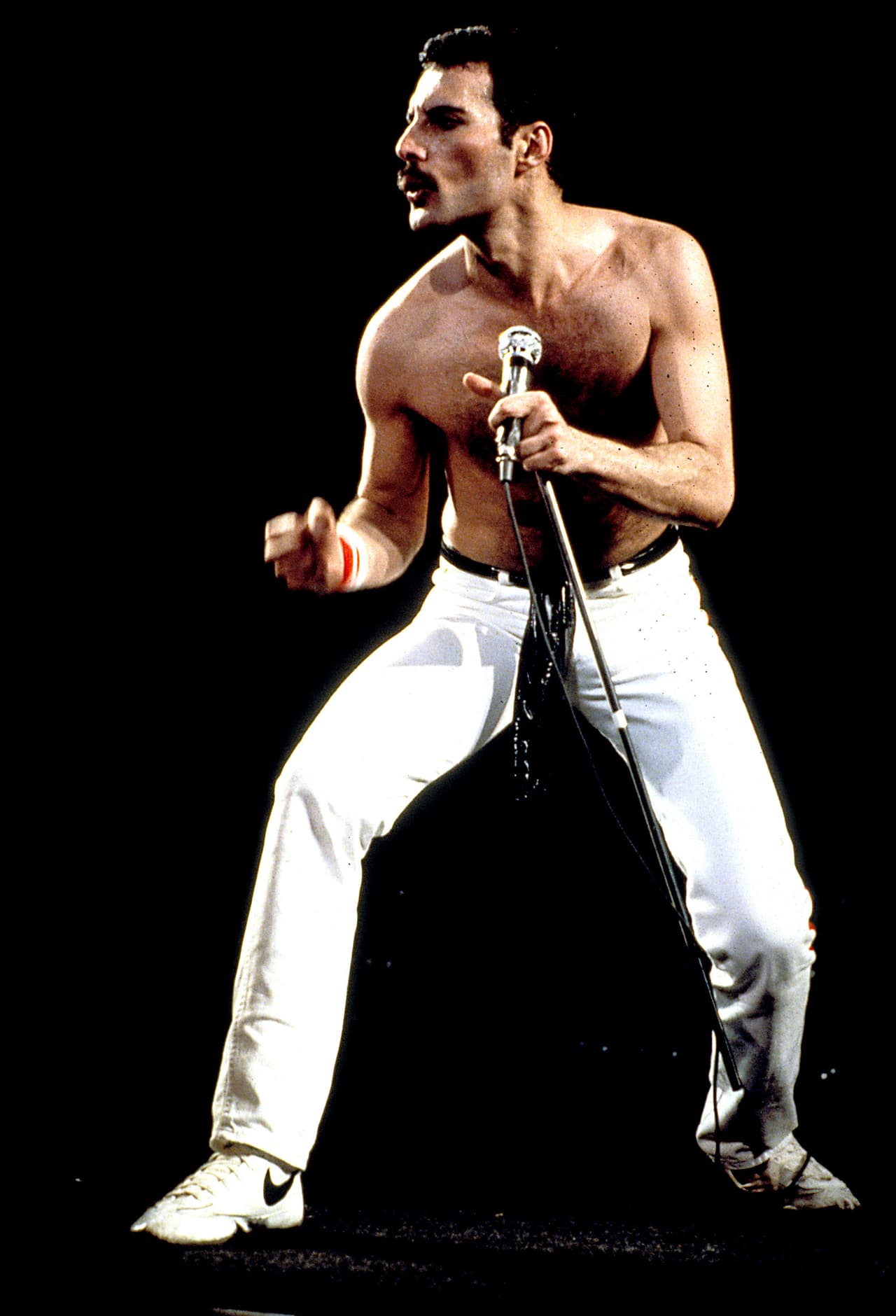 Freddie Mercury falleció un 24 de noviembre de 1991 a los 45 años