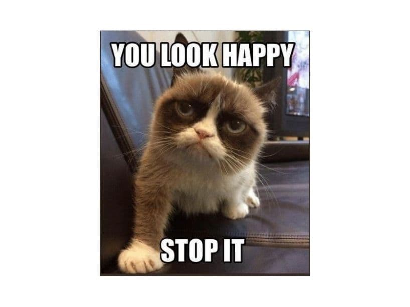 En realidad Grumpy Cat no estaba enojada, sino que padecía enanismo felino. "Te ves feliz. Para ahora", pide Tardar Suace, nombre real de la gatita.