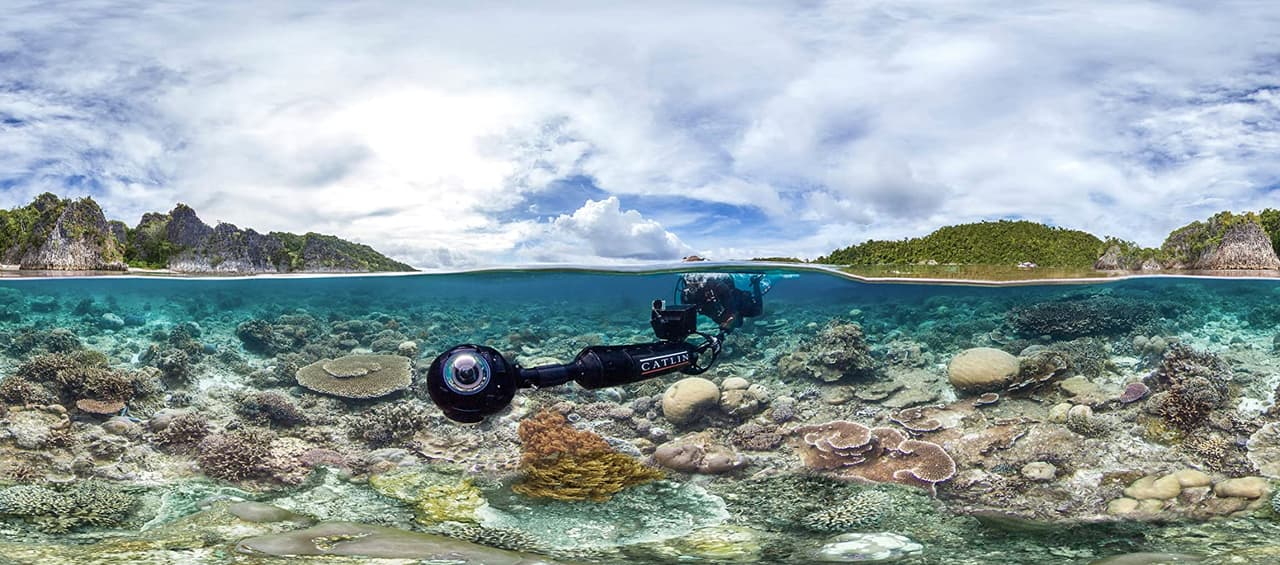 'Chasing Coral' se trata de una película que sigue a un grupo de cineastas y científicos en busca de registrar el daño que sufren los corales debido al "blanqueamiento" en diferentes partes del mundo.