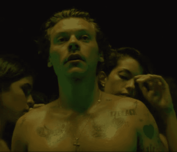 El tatuaje de las aves, que es uno de los más visibles de Harry Styles, representan la experiencia de los navegantes en la antigüedad y los viajes que han realizado, así como el con su vida en giras alrededor del mundo desde que era adolescente.