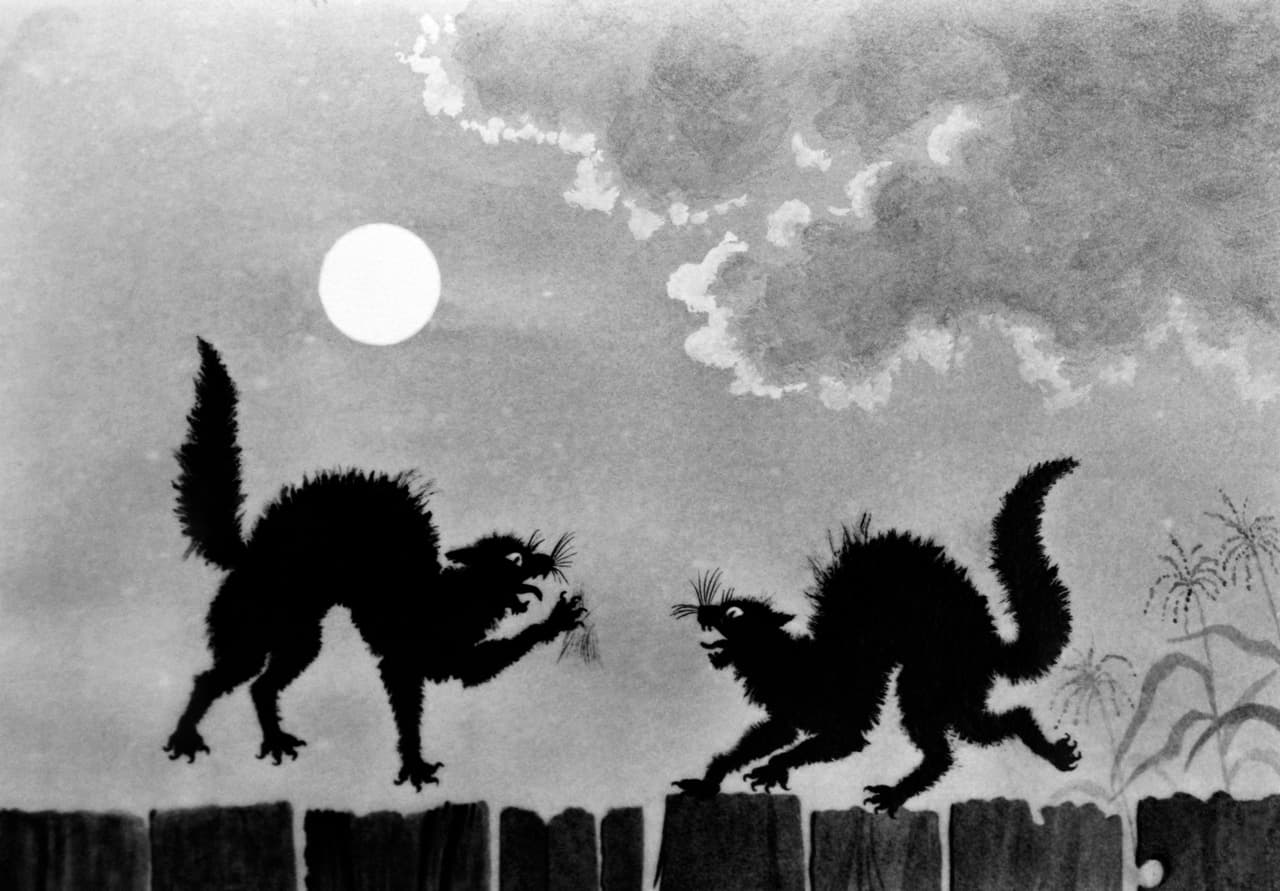 ILLUSTRATION TWO BLACK CATS FIGHTING ON FENCE UNDER MOON (Photo by H. Armstrong Roberts/ClassicStock/Getty Images)