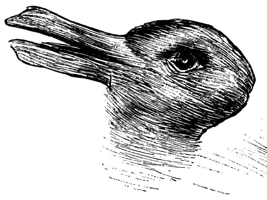 Un clásico: ¿Pato o conejo?