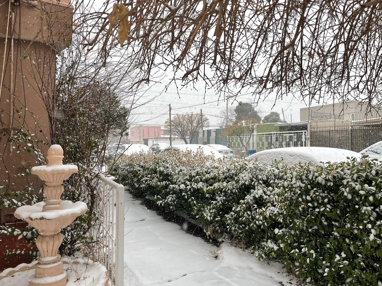 Estas tormentas de nieve fueron provocadas por el frente frio 35 que impulsa el aire ártico y la novena tormenta invernal , las cuales se conjuntaron en la zona norte de México.
<br>