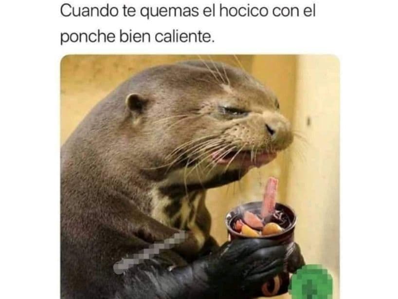 Otra solución para el frío es tomar ponche bien caliente.