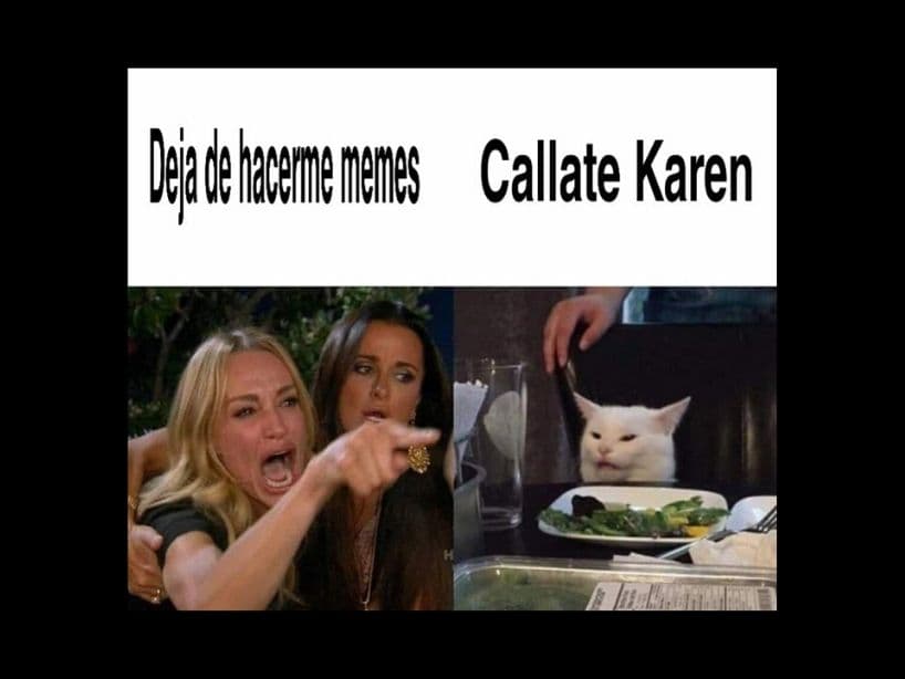 ¿Qué sería de nuestra vida sin la relación tan rara entre Karen y los gatos?