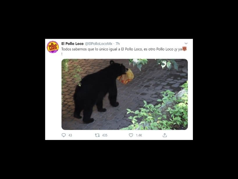 Sin duda, este mamífero le ha dado mucha publicidad gratuita a la franquicia de pollo rostizado.
<br>