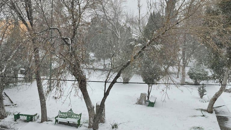 En las últimas horas, diferentes usuarios de redes sociales han mostrado las increíbles imágenes que han dejado las nevadas en el norte de la República Mexicana.
<br>