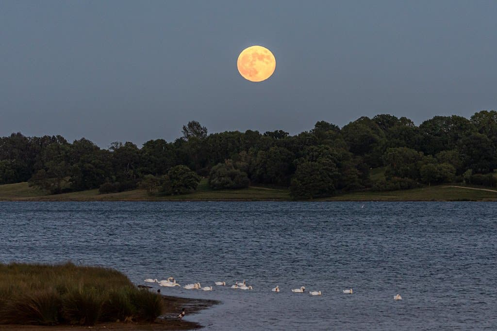 Rutland Water, Inglaterra.