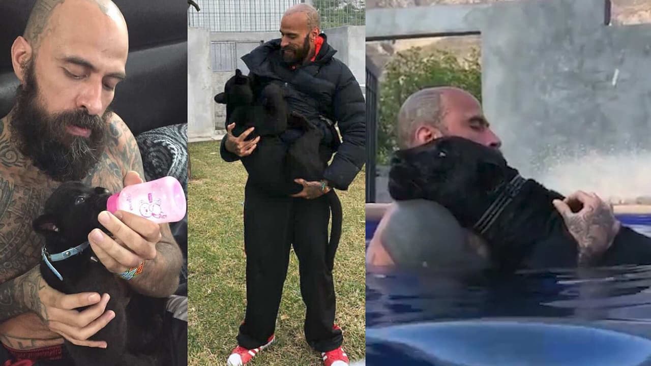 Babo: Estos son algunos de los mejores momentos con su pantera, así han cambiado