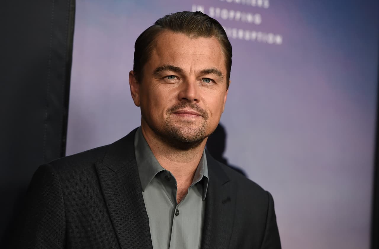Así se veía la linda carita de Leonardo DiCaprio antes de ser golpeada.