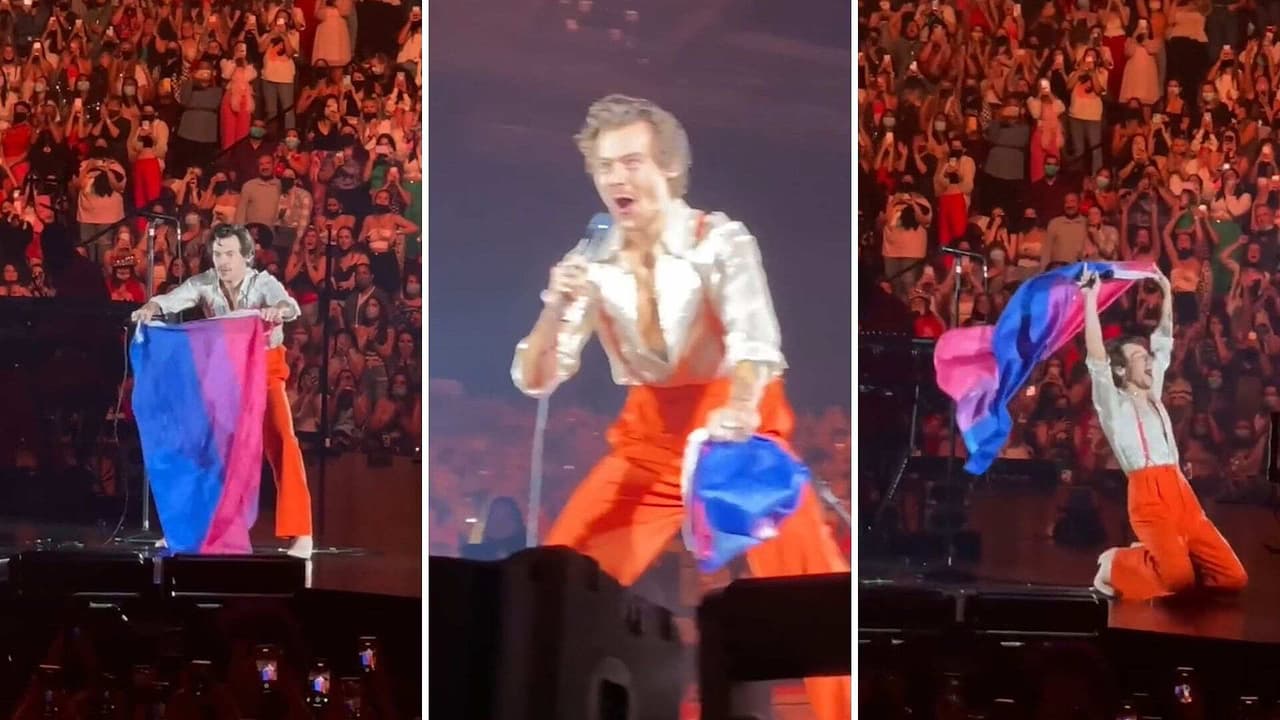 Harry Styles ayudó a fan a salir del clóset y ondeó con orgullo la bandera bisexual
