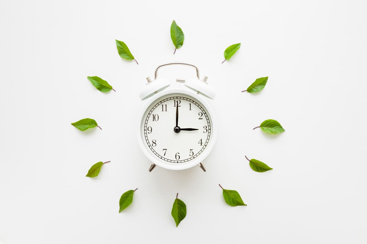 Green leaves around white alarm clock on light table background. Time change concept. Closeup. Top down view.