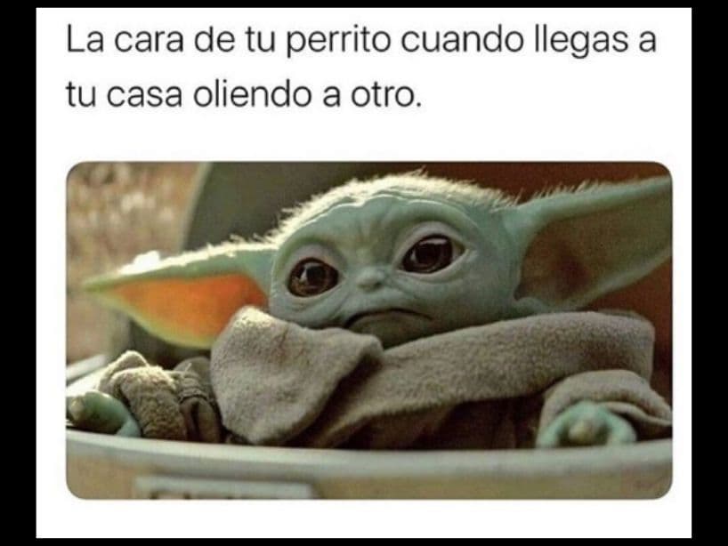 Su tierna cara le recordó a los usuarios algunas situaciones similares.