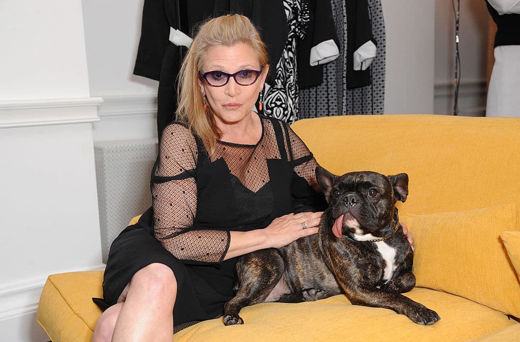 Carrie Fisher, quien interpretó a la "Princesa Leia" en la saga de "Star Wars", medía 1.56 metros.