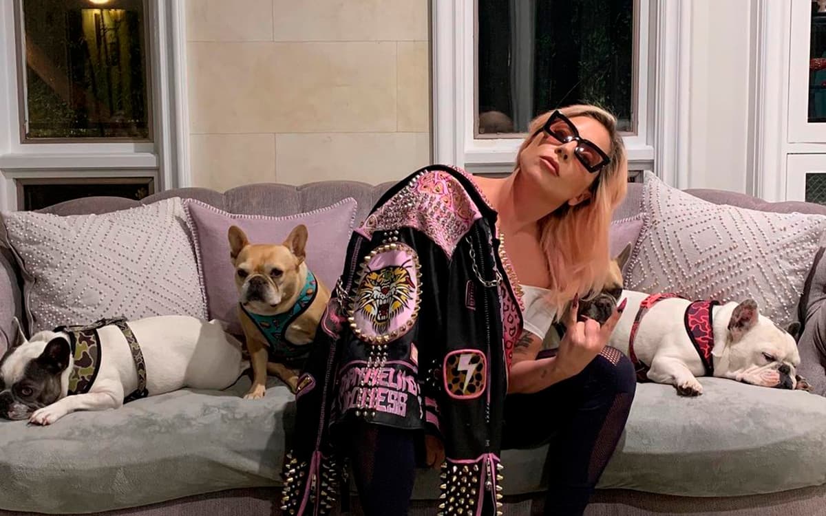 Lady Gaga es demandada por mujer involucrada en robo de sus perros