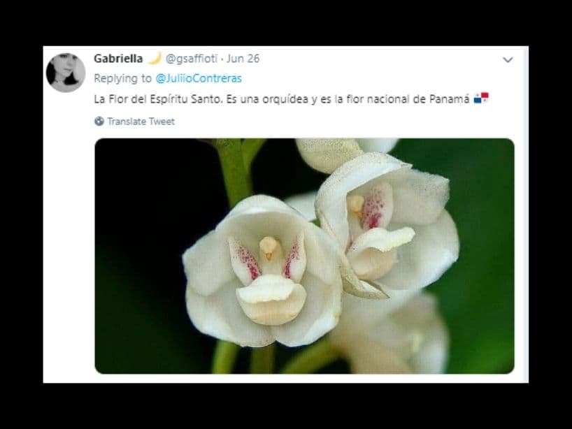 La Flor del Espíritu Santo tiene un centro que asemeja a una paloma.