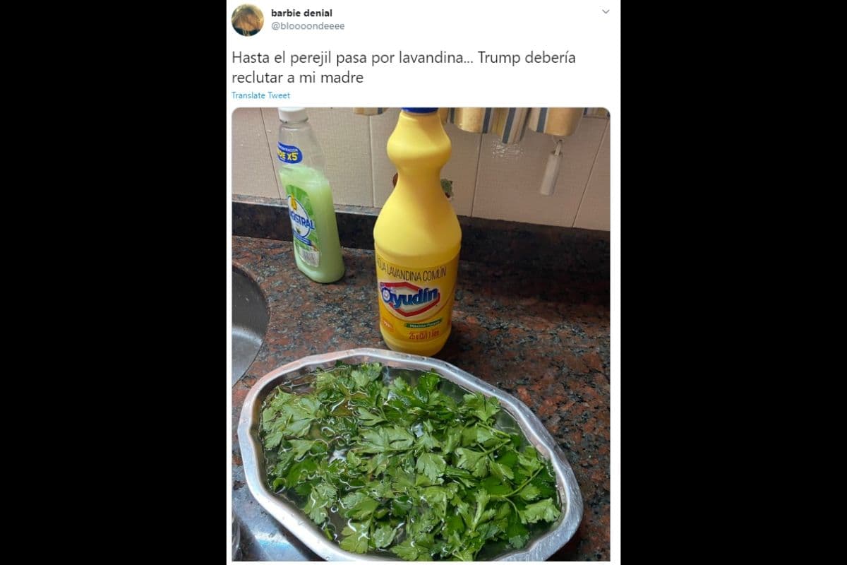 Ante esto, los usuarios de Internet comenzaron a crear memes, considerando que si la solución fuera tan fácil, los científicos ya la habrían tomado. Al final del día, usar cloro en tu cuerpo es peligroso y nada recomendable.
<br>
