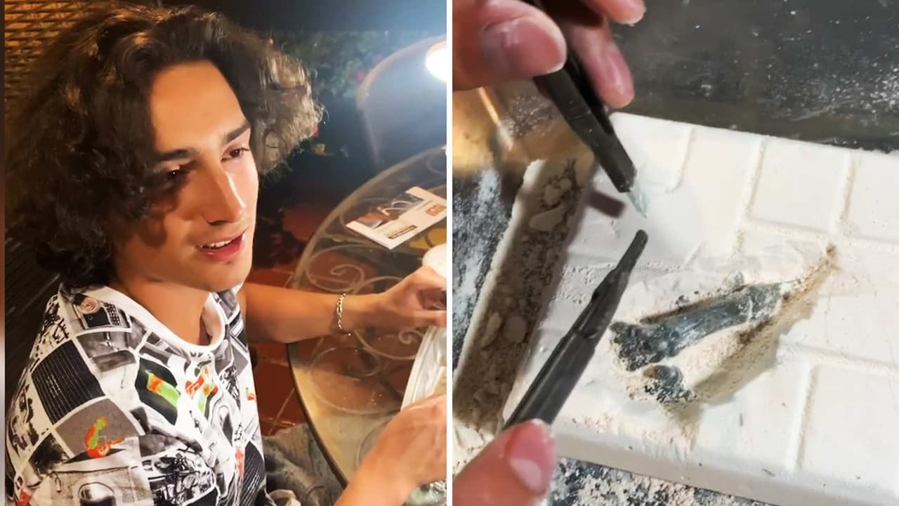 Así se divierte Emilio Osorio en cuarentena: “Estoy descubriendo un dinosaurio, es muy importante para la humanidad”