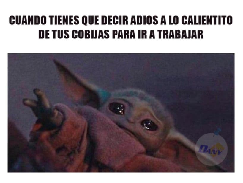 Ya entró el Frente Frío 23 a México y se siente.