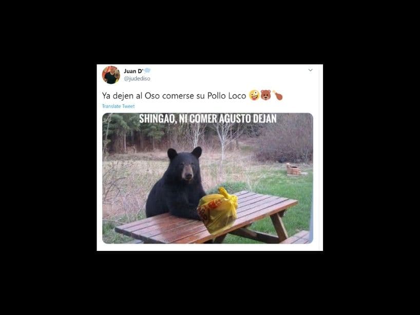 La imagen del mamífero peludo que comenzó a rondar por Internet muestra al animal cargando una bolsa de la marca Pollo Loco, con comida adentro.
<br>