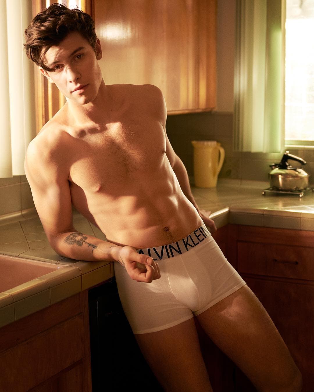 Shawn Mendes es conocido por temas como "In My Blood" o "Treat You Better"