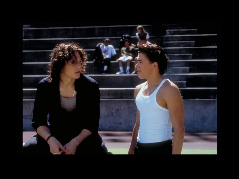 Su carrera en el mundo del cine lanzó gracias a su papel en 10 Cosas que Odio de ti.