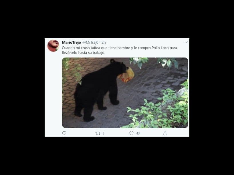 También este peludo amigo es el animal espiritual de muchos románticos que quieren consentir a los sujetos de su amor.
<br>