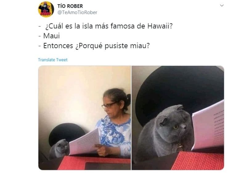 Miau.
