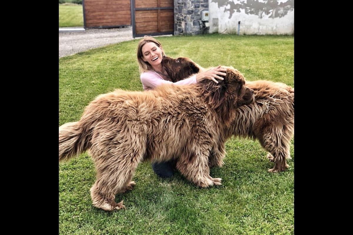 Además, ha mostrado el cariño que siente por los animales al compartir varias fotografías de ella conviviendo con perros, ponys, gatos, entre otros.