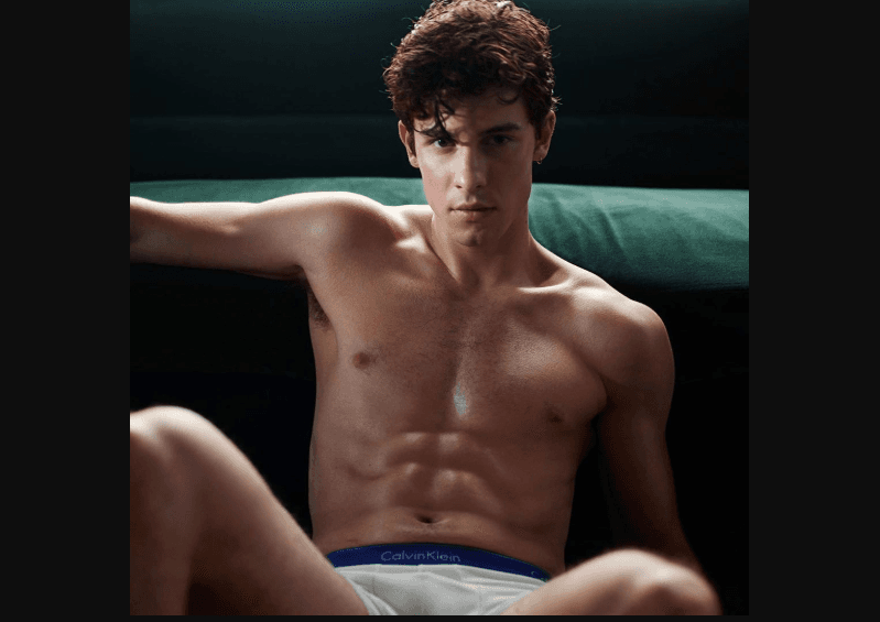 Shawn Mendes forma parte de la sexy campaña de Calvin Klein, #MYTRUTH. El artista canadiense enloqueció a sus fans con sus fotografías en ropa interior.