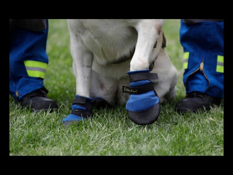 ¡Miren esas patitas!