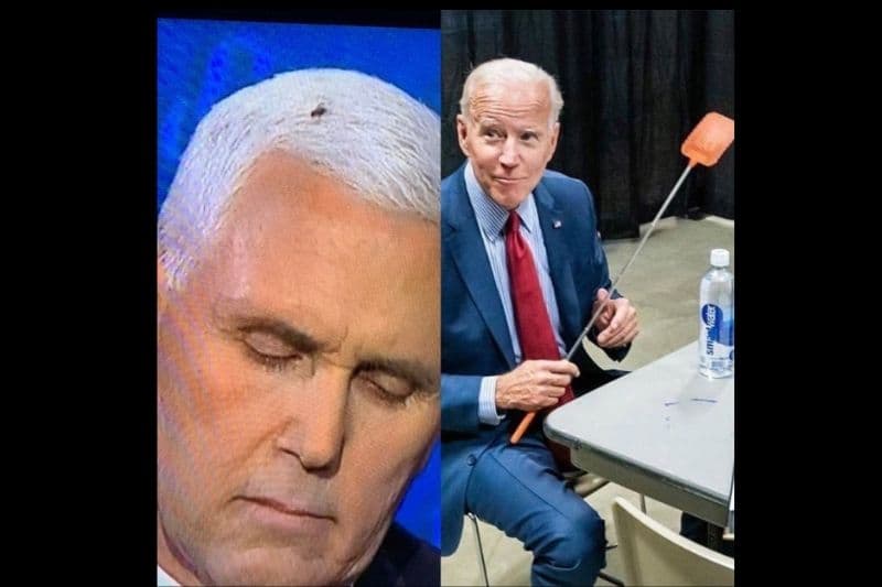 La mosca que se paró sobre la cabeza de Mike Pence durante el debate, se robó el show.