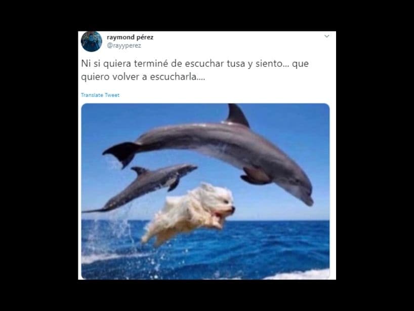 Y es que al menos con la popularidad que ha ganado, más de uno debería de darle una segunda oportunidad.