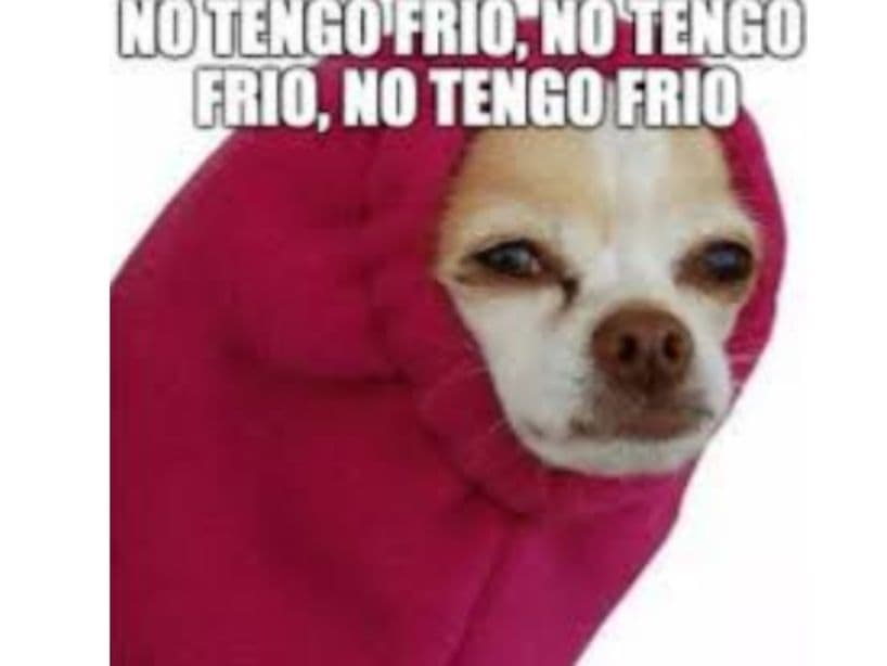 El frío es mental.