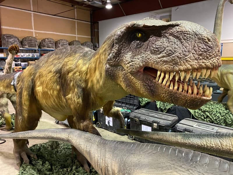 Todos los dinosaurios en la exposición se mueven y generan sonidos.