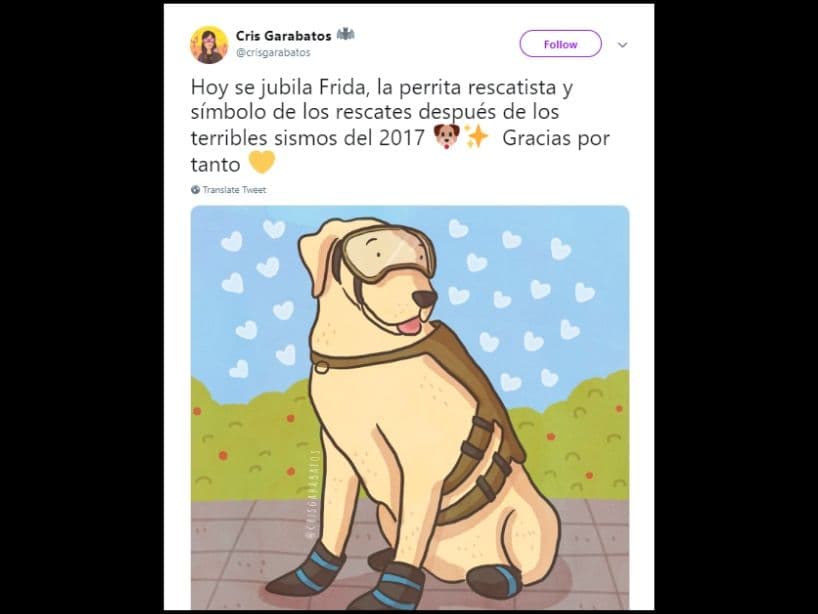 Frida tiene 10 años o 70 años en edad canina, por lo que de ahora en adelantese dedicará jugar y descansar.