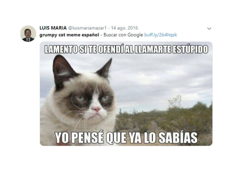 Miles de haters en Internet se identifican con la personalidad de la gatita que se convirtió en uno de los primeros memes virales.