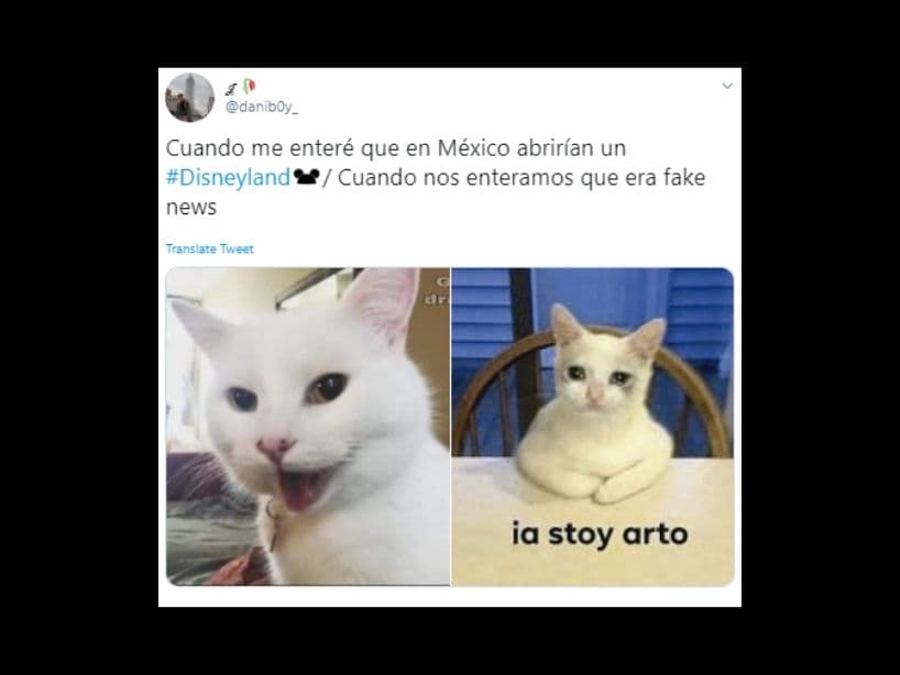 Aunque por el negocio que somos los mexicanos visitando Orlando o California, es una idea que difícilmente se volverá realidad.