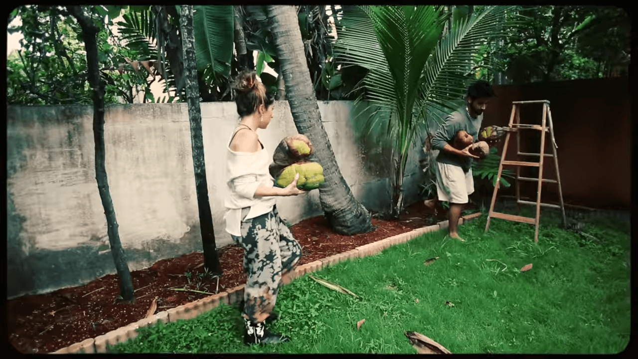 Además, sus palmeras dan cocos, mismos que pueden bajar y degustar para quitarse el calorcito.
<br>