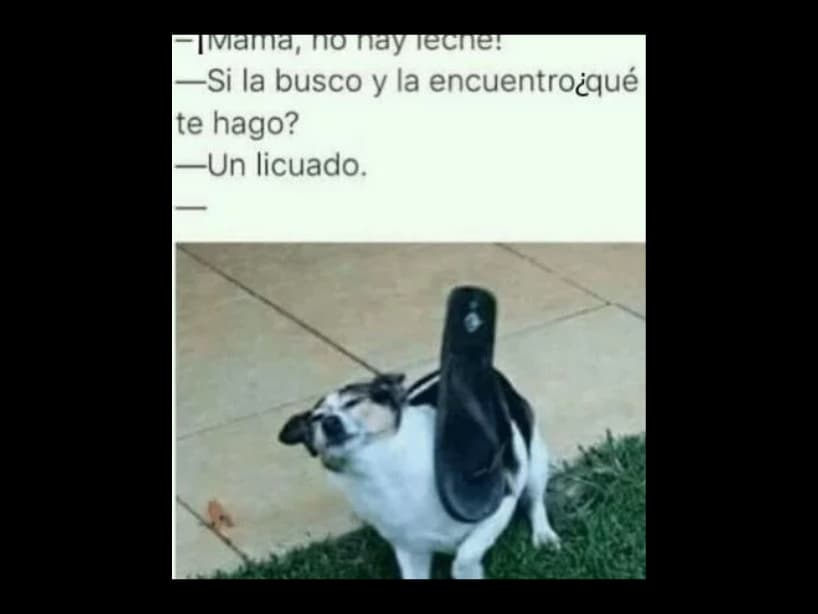 Cuidado: el cinismo extremo puede ser causa de un doloroso chanclazo.