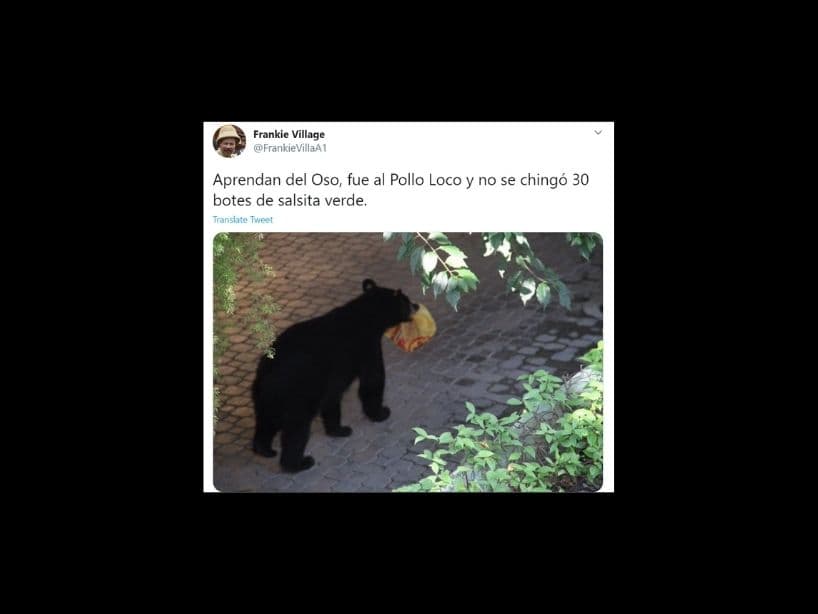 Aunque también es importa recalcar que fue prudente con las salsas y totopos que agarro.
<br>