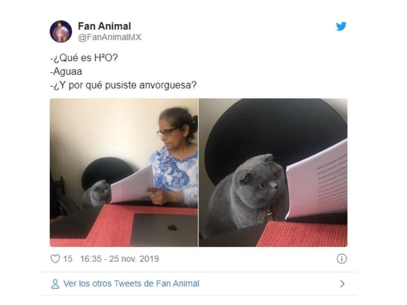 Fue la cuenta de Twitter @BillionTwiTs la que publicó la imagen de la foto con el texto “Bomboclaat”, palabra que “forma parte del lenguaje rastafari” de Jamaica.