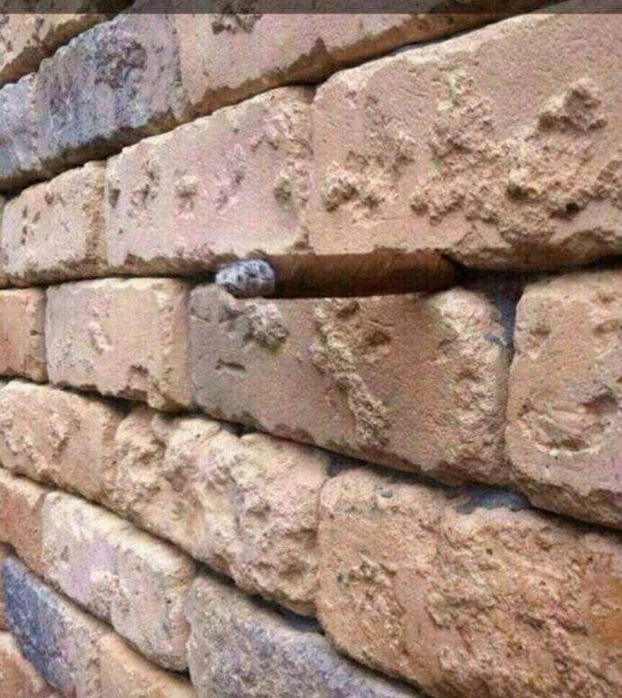 A simple vista, parece una simple pared de ladrillos. Pero mira atentamente, y encontrarás algo escondido en el centro de la pared. La imagen que circuló por Facebook, esconde un cigarro cubano.