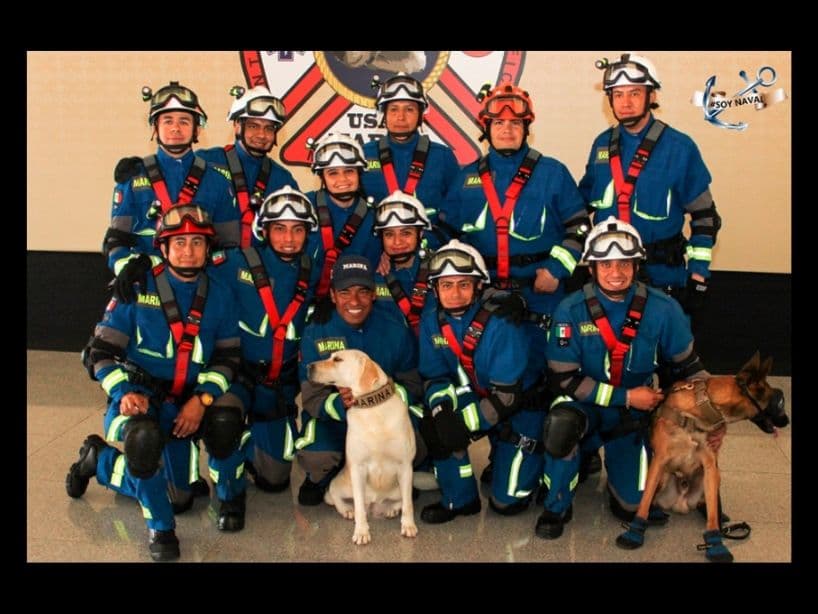 Los perritos posaron junto a sus equipos en la Semar durante el Día del Rescatista.