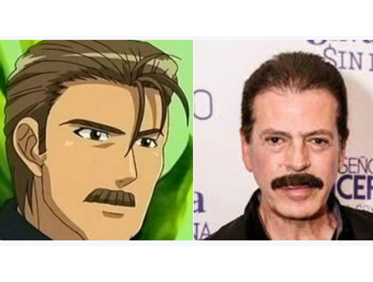 Si Sergio Goyri fuera parte de un anime, seguro sería Yuuji Takashima.