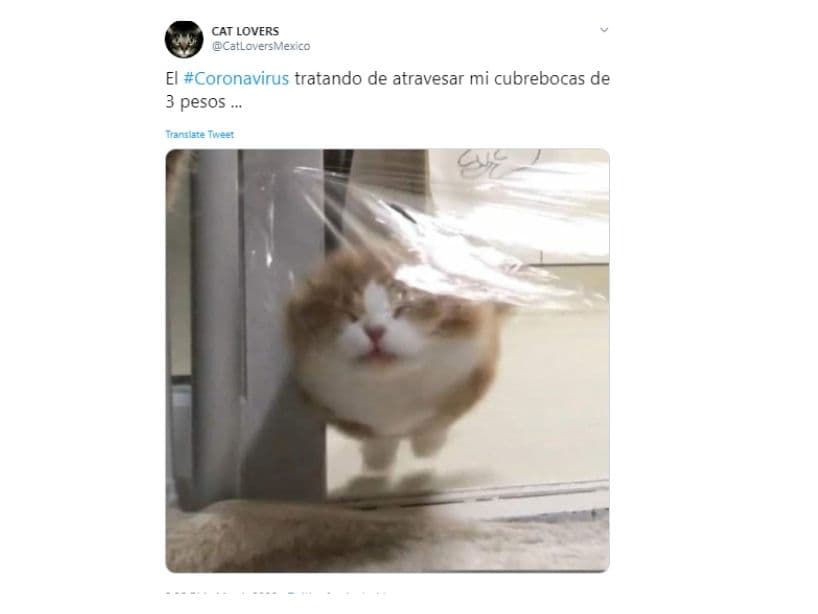 Hugo López-Gatell, subsecretario de Prevención y Promoción de la Salud en México, afirmó que el uso de cubrebocas no sirve para proteger a la población del contagio de coronavirus, aunque sí son útiles para contener el virus en las personas que ya están enfermas.
