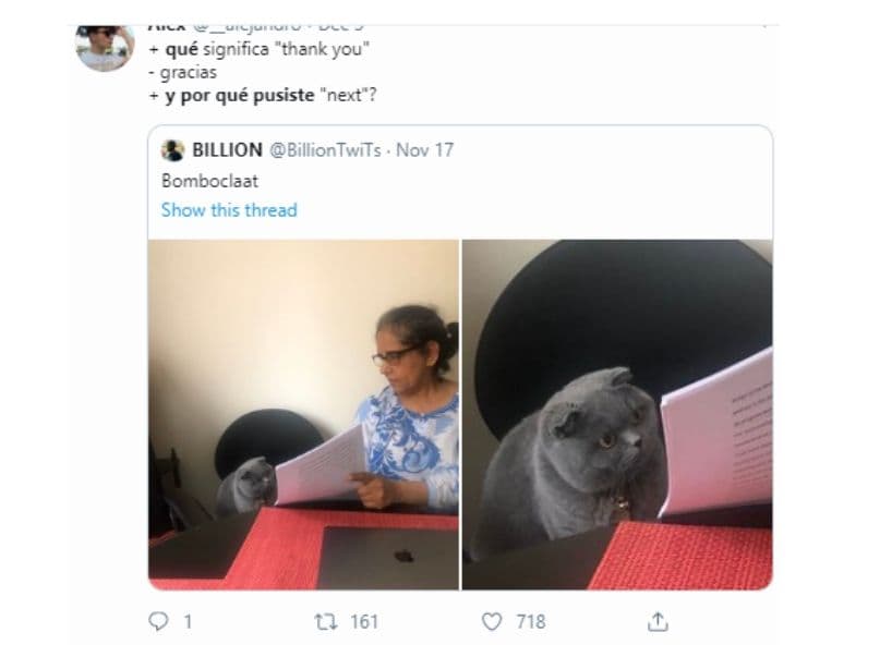 El gatito regañado por una respuesta de examen tiene muchos contextos aplicables a un meme.