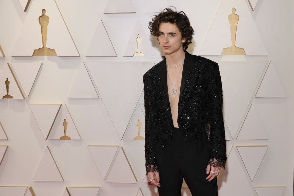 HOLLYWOOD, CALIFORNIA - MARCH 27: Timothée Chalamet attends the 94th Annual Academy Awards at Hollywood and Highland on March 27, 2022 in Hollywood, California. (Photo by Mike Coppola/Getty Images)