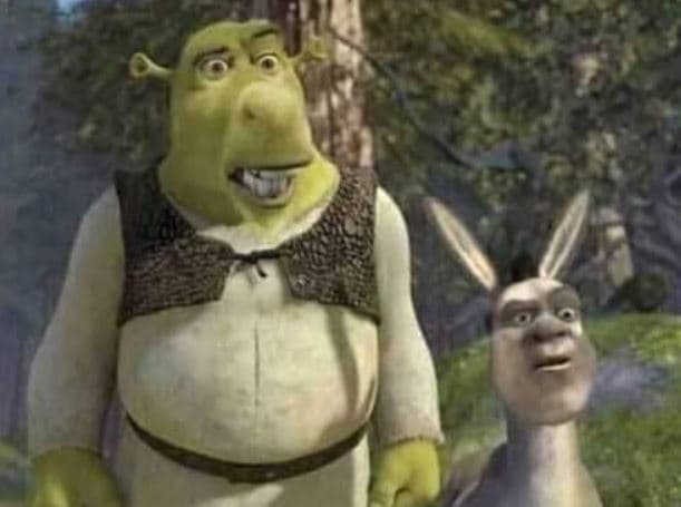 El viajero en el tiempo estornudó y cambió a Shrek y Burro